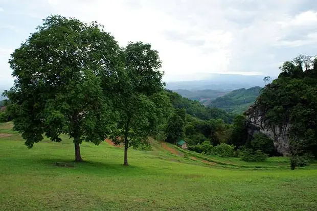 Naturaleza-Nan