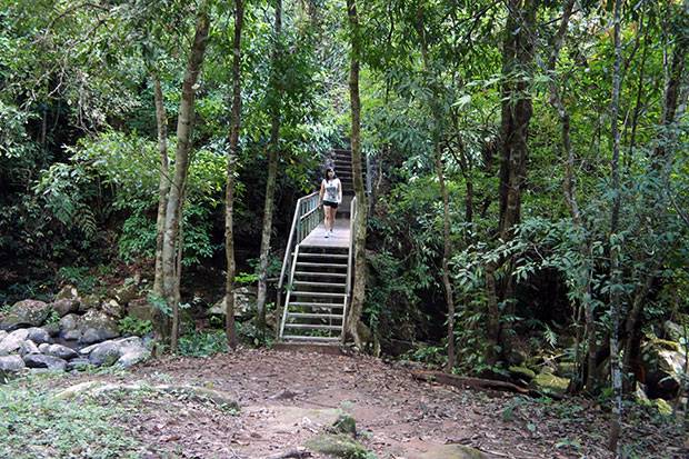 Selva-de-Nan