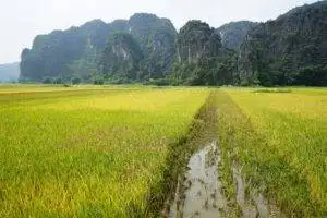 ninh binh